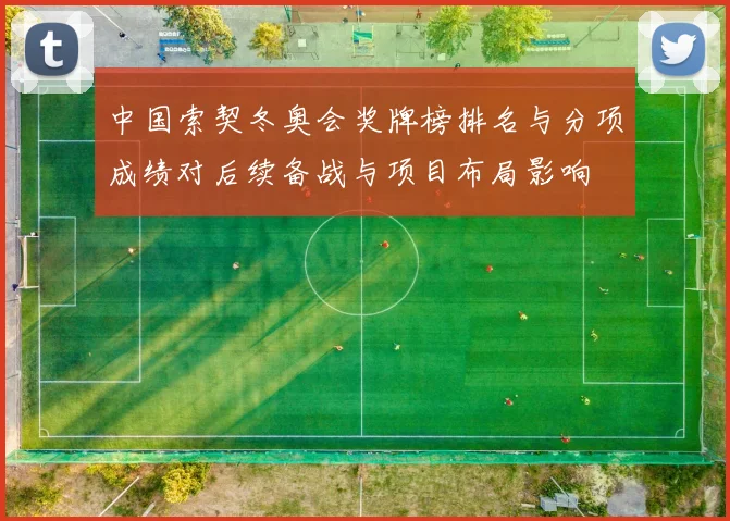 中国索契冬奥会奖牌榜排名与分项成绩对后续备战与项目布局影响