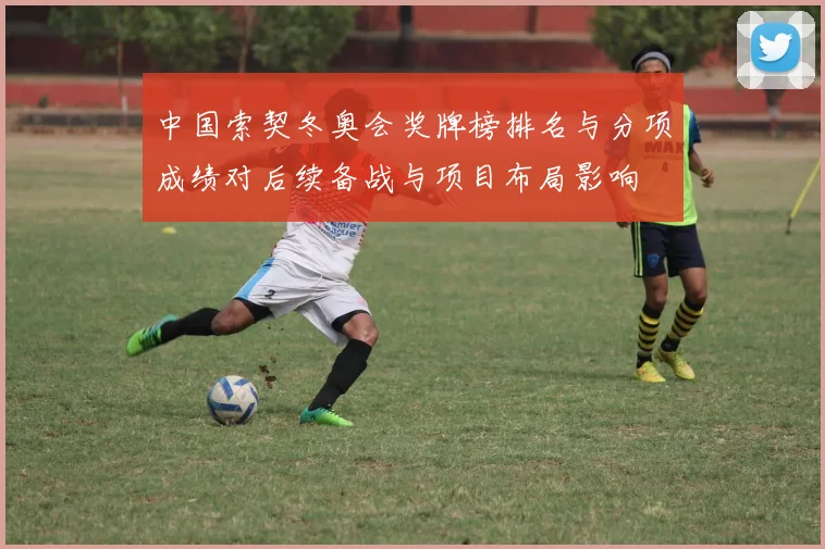 中国索契冬奥会奖牌榜排名与分项成绩对后续备战与项目布局影响