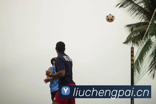 多媒体互动体验