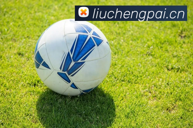 星空体育首页官网APP 高清赛事图